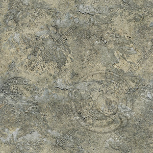 Medium resolution Rocky road with gravel + Normal Map