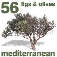 Cut Out - 56 Fig Trees & Olive Trees