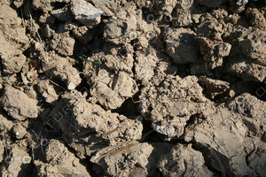 ground texture