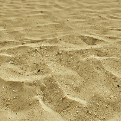  https://static.turbosquid.com/Preview/2014/08/01__17_25_29/2.jpg7246a0ac-35f7-4e84-969a-8dcab5fa5e5eLarger.jpg