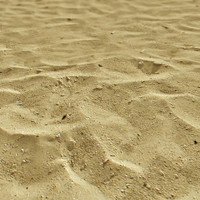 Sand Texture
