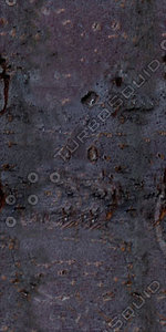 Bark_37