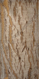 Bark_44