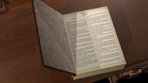 Bible In