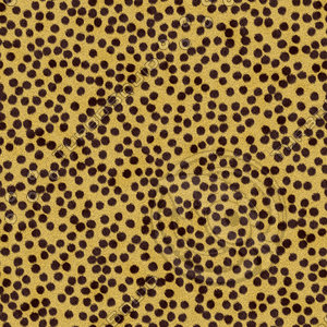 Cheetah Fur Textures