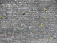 DSCN1895.jpg