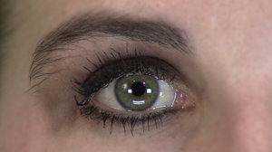 Eye Normal