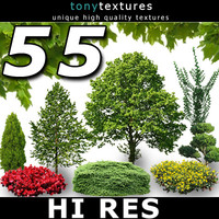 Ultimate Green Cutout Tree Collection - High Resolution