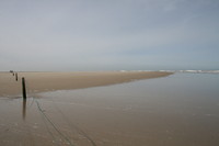 wadden sea 10
