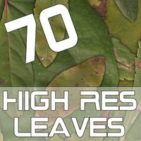 Leaves.psd