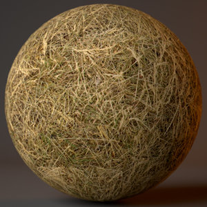 Dead Grass