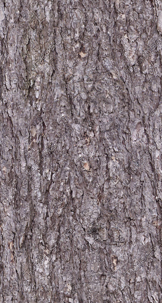 Texture Reche Texture JPEG seamlessly tileable textures