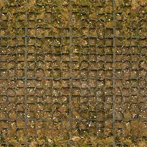Road_20