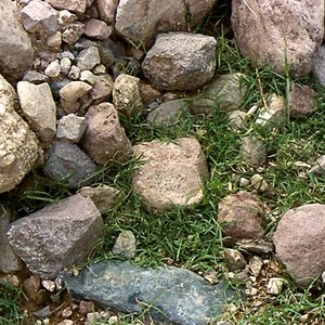 Rocksandgrass.png