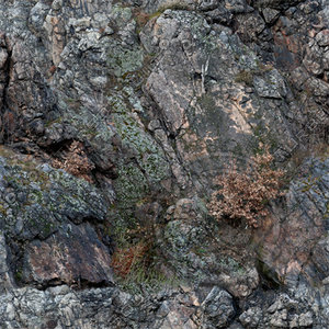 Rock_49