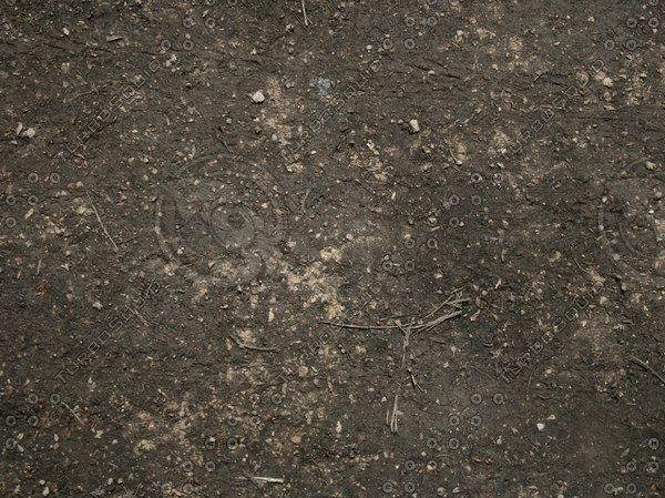 Texture JPEG Ground Floor Path