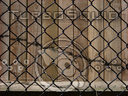 Texture00143.jpg