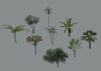 Tree-Tropical_Collection