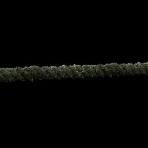 Mossy old rope