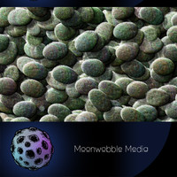 Dotty Mossy Zen Rocks - CG Texture