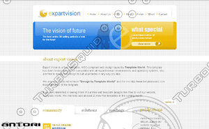 expert_vision template 
