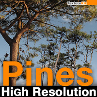 Pines High Resolution