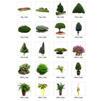 plants collection(20 pcs)