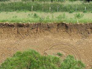 riverbank texture 6.jpg