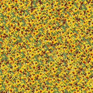Rudbeckia flowers seamless pattern