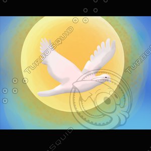 sunset bird.psd