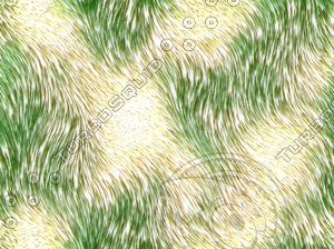 Grass