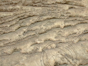 Rock 20090110 105