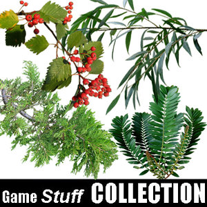 Collection_branch_02_p1