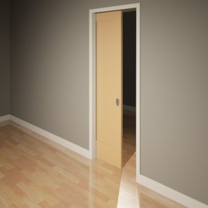 Single Pocket Door