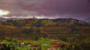 Foggy Ecuador