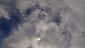Probe Timelapse