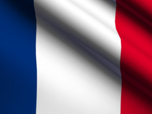 France Animated Flag