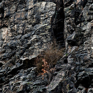 Rock_51