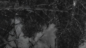 Spooky Background
