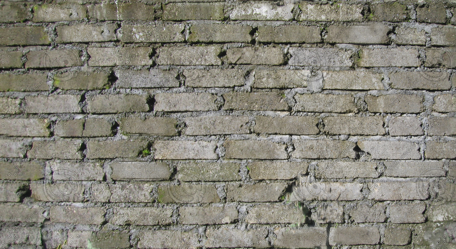 Texture JPEG cement brick wall