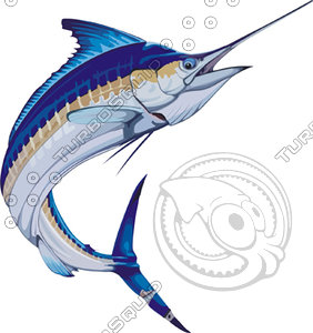 fish 11.ai