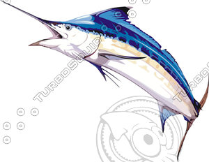 fish 13.ai