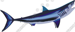 fish 4.ai
