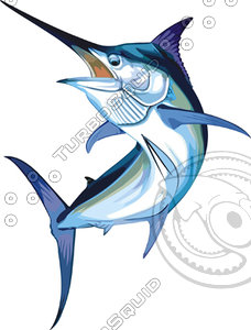 fish 7.ai