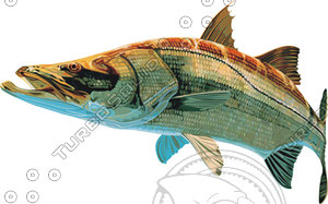 fish 8.ai