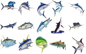 fishs.ai