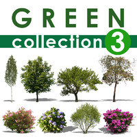 green collection 3