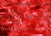 red fur texture
