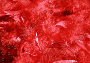 red fur texture