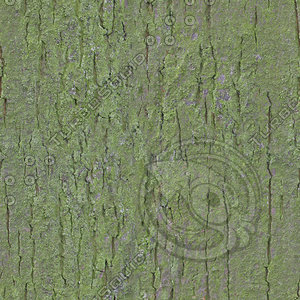 tree bark green 5.jpg